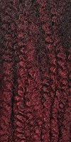 Outre Crochet Braids X-Pression Twisted Up Bonita Butterfly Twist Locs 20"