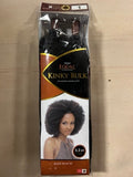 FREETRESS EQUAL KINKY BULK 24" BY SHAKE N GO