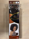 FREETRESS EQUAL KINKY BULK 24" BY SHAKE N GO
