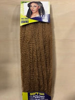 2 PACKS SPECIAL DEAL FOR ZURY SYNTHETIC HAIR BRAIDS DIOS MALI TWIST BRAID