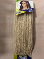 2 PACKS SPECIAL DEAL FOR ZURY SYNTHETIC HAIR BRAIDS DIOS MALI TWIST BRAID