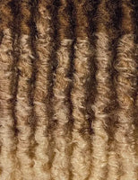 Outre Crochet Braids X-Pression Twisted Up 2X Bonita Crush Locs 24"