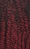 Outre Crochet Braids X-Pression Twisted Up 2X Bonita Temptation Locs 20"