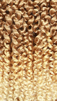 Zury Crochet Braids V11 Passion Twist