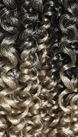 Zury Crochet Braids V11 Passion Twist