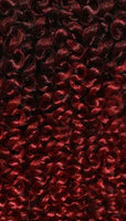 Zury Crochet Braids V11 Passion Twist